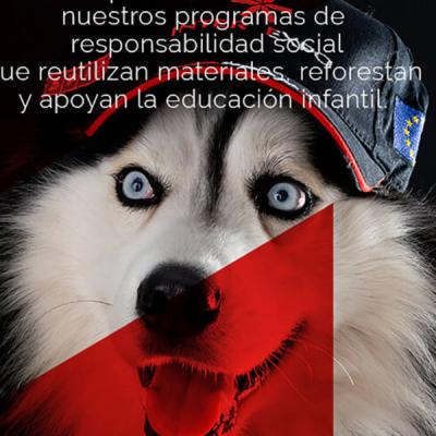 Zz Conciencia Social 800x600